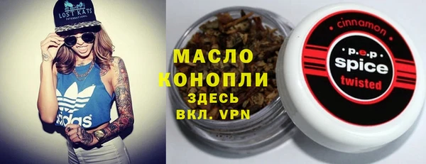 прущий лед Алзамай