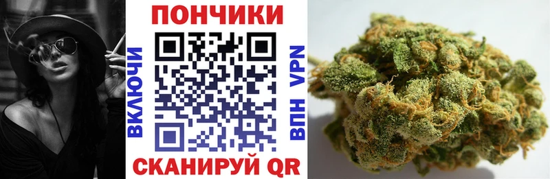 Бошки марихуана планчик  Пролетарск 